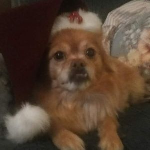 Meet your Posher, Scott